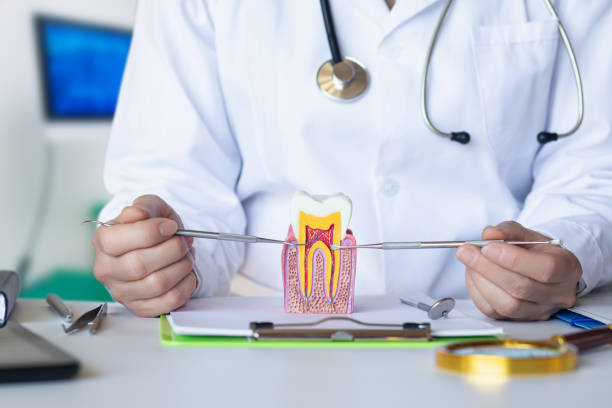 Best Same-Day Emergency Dentist in Edna, TX